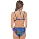 Background  Double Strap Halter Bikini Set View2