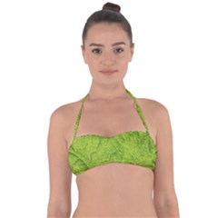 Structure Nature Texture Pattern Halter Bandeau Bikini Top by Vaneshart