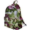 Salad Lettuce Vegetable The Plain Backpack View1