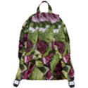 Salad Lettuce Vegetable The Plain Backpack View3