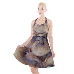 Close Up Mushroom Abstract Halter Party Swing Dress  by Fractalsandkaleidoscopes