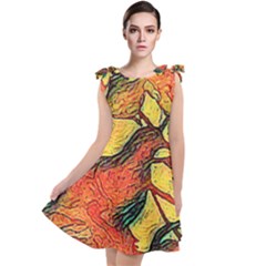 Dove In An Orange Tree Tie Up Tunic Dress by MijizaCreations
