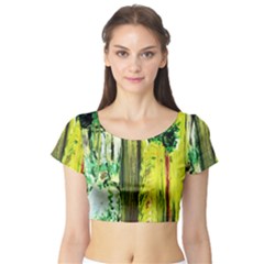 Old Tree And House With An Arch 8 Short Sleeve Crop Top by bestdesignintheworld