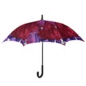Pattern 17 Hook Handle Umbrellas (Large) View3