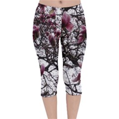 Saucer Magnolia Tree Velvet Capri Leggings  by okhismakingart