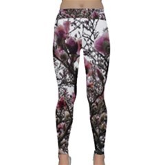 Saucer Magnolia Tree Ii Classic Yoga Leggings by okhismakingart