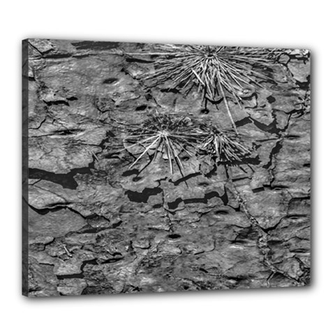 Black And White Texture Print Canvas 24  X 20  (stretched) by dflcprintsclothing