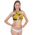 Yellow Roses Cross Front Halter Bikini Top View1
