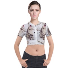 Laughing Kitten Short Sleeve Cropped Jacket by Sparkle