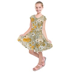 Cosmos Flowers Sepia Color Kids  Short Sleeve Dress by DinkovaArt