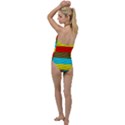 Multicolor With Black Lines Go with the Flow One Piece Swimsuit View2