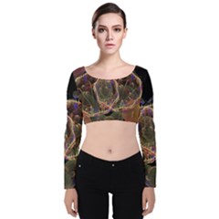 Fractal Geometry Velvet Long Sleeve Crop Top by Sparkle