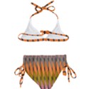 Zappwaits - Your Kids  Classic Bikini Set View2