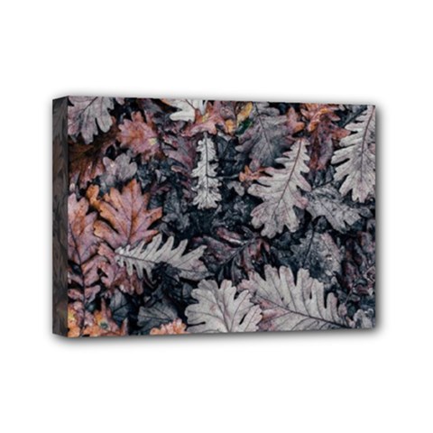 Autumn Leafs Mini Canvas 7  X 5  (stretched) by Sparkle