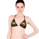 Fractal Design Bikini Top View1