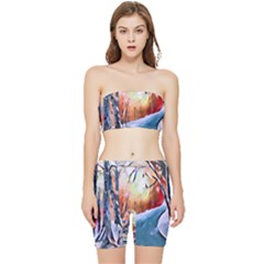 Paysage D hiver Stretch Shorts And Tube Top Set by sfbijiart