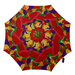 Fruit Life 2  Hook Handle Umbrellas (small) by Valentinaart