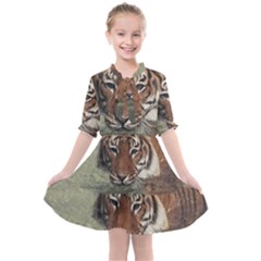 Swimming Tiger Kids  All Frills Chiffon Dress by ExtraAwesomeSauce