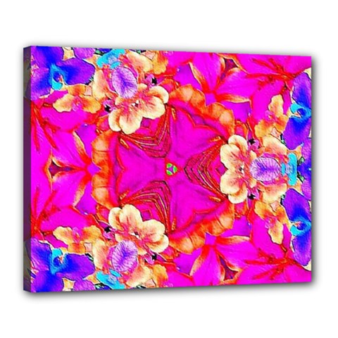 Pink Beauty Canvas 20  X 16  (stretched) by LW323