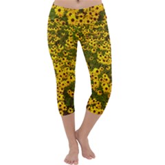 Daisy May Capri Yoga Leggings by LW323