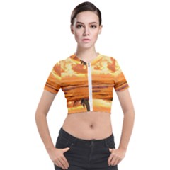 Sunset Beauty Short Sleeve Cropped Jacket by LW323