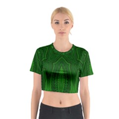 Freshspring3 Cotton Crop Top by LW323