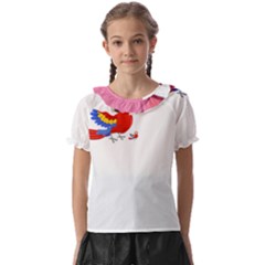 Untitled Design (5) Photo 1607517624237 Kids  Frill Chiffon Blouse by Basab896