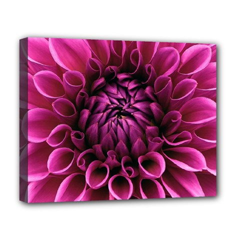 Dahlia-flower-purple-dahlia-petals Deluxe Canvas 20  X 16  (stretched) by Sapixe