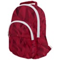 Amaranth Rounded Multi Pocket Backpack View1