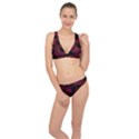 Red Abstraction Classic Banded Bikini Set  View1