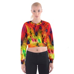 Color-background-structure-lines Cropped Sweatshirt by Sudhe
