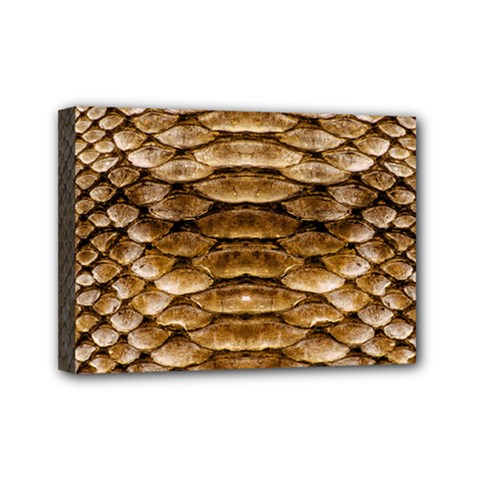 Reptile Skin Pattern 11 Mini Canvas 7  X 5  (stretched) by skindeep