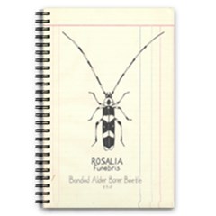 Img016 5 5  X 8 5  Notebook by Limerence
