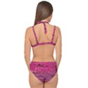 Pink  Waves Flow Series 1 Double Strap Halter Bikini Set View2