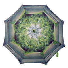 Photo Vue Sur Forêt  Hook Handle Umbrellas (medium) by kcreatif