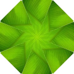 Banana Leaf Hook Handle Umbrellas (small) by artworkshop