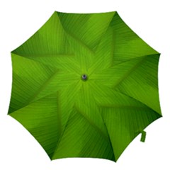 Banana Leaf Hook Handle Umbrellas (medium) by artworkshop