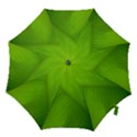 Banana Leaf Hook Handle Umbrellas (Small) View1
