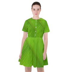 Banana Leaf Sailor Dress by artworkshop
