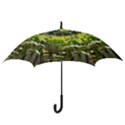 Bitter Melon Hook Handle Umbrellas (Medium) View3