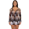 Snail Shells Pattern Arianta Arbustorum Long Sleeve Boyleg Swimsuit View1