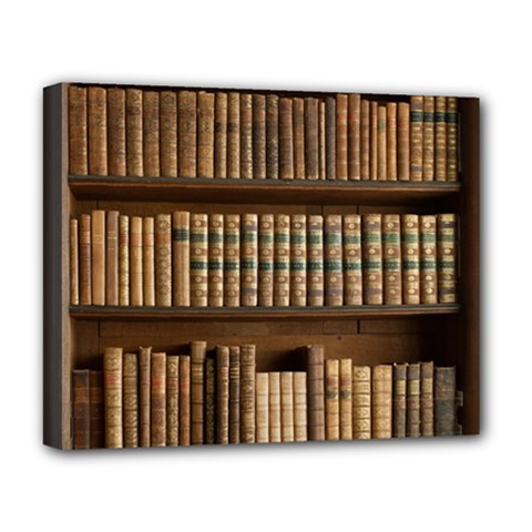 Books Bookcase Old Books Historical Deluxe Canvas 20  X 16  (stretched) by Amaryn4rt