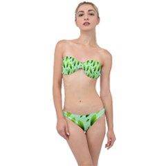 Background Pattern Leaves Nature Classic Bandeau Bikini Set by Amaryn4rt