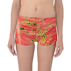 Aglonema Leaf Plant Pattern Flora Reversible Boyleg Bikini Bottoms by Amaryn4rt