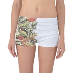 Im Fourth Dimension Colour 85 Reversible Boyleg Bikini Bottoms by imanmulyana