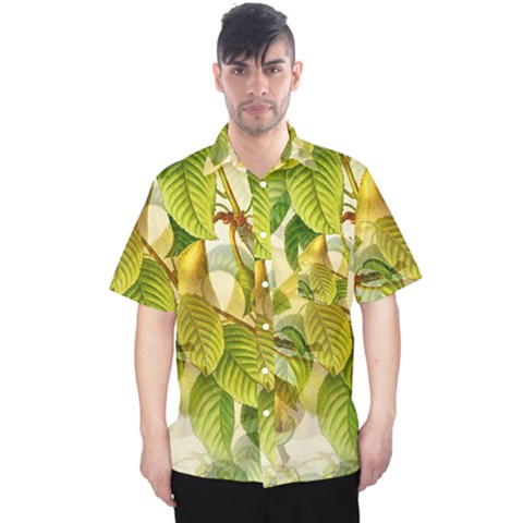 Pear Fruit Tree Organic Pattern Men s Hawaii Shirt by Wegoenart