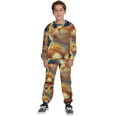 Cute Cat Cat Feline 3d Kids  Sweatshirt Set by Pakemis