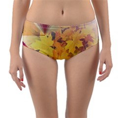 Colorful Nature Reversible Mid-waist Bikini Bottoms by Sparkle