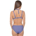 Pattern Double Strap Halter Bikini Set View2