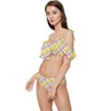 Plaid Pattern Ruffle Edge Tie Up Bikini Set	 View2